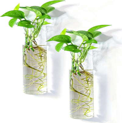 2 Pzas Macetas Colgantes Vidrio Soportes Plantas Aire
