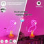 Letrero neón flamenco LED rosadas USB dormitorio fiesta regalo