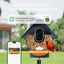 Comedero inteligente para pájaros con cámara