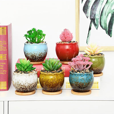 Maceta cerámica cactus jardín bandeja bambú amarilla