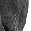 Escultura gótica de pared The Raven's Perch