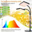 Luces cultivo mesa 2 cabezales 50w para plantas interiores