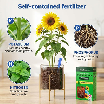 Fertilizante líquido para plantas multiuso 6 Pzas