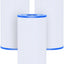 Filtro piscina B comp 29005E 10x5 3/4pulg paq 3