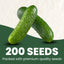 Semillas pepino premium 200 uds resistente enfermedades 2026