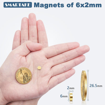80 Pzas Imanes Neodimio 6x2mm para Refrigerador Pizarra