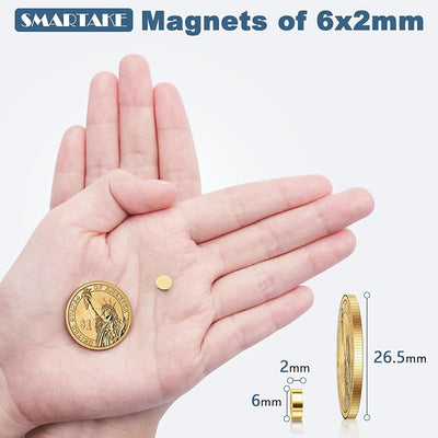 80 Pzas Imanes Neodimio 6x2mm para Refrigerador Pizarra