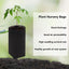 100 Pzas Bolsas Cultivo 10.2pulg Negro