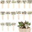 15 Marcadores Madera para Plantas Jardín Interiores Exteriores