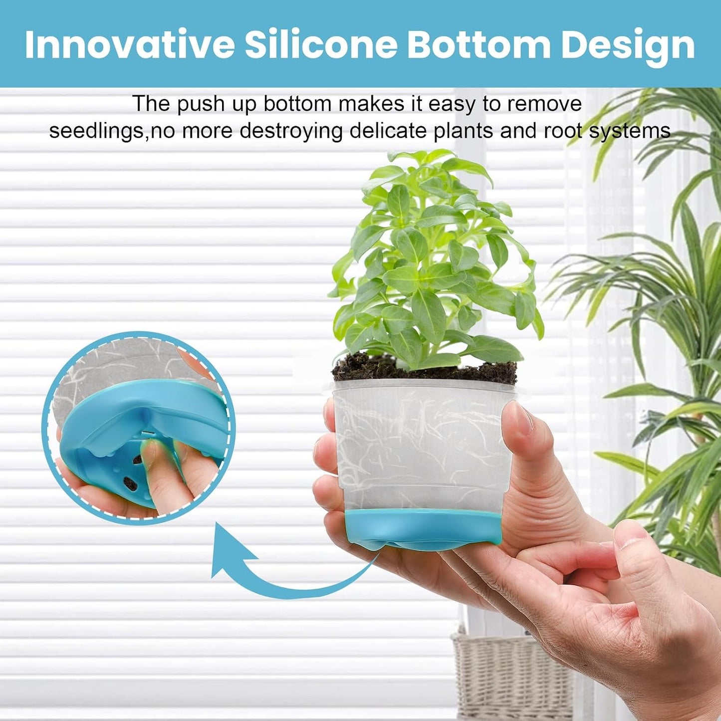 Macetas plástico transparente con base silicona 4" azul