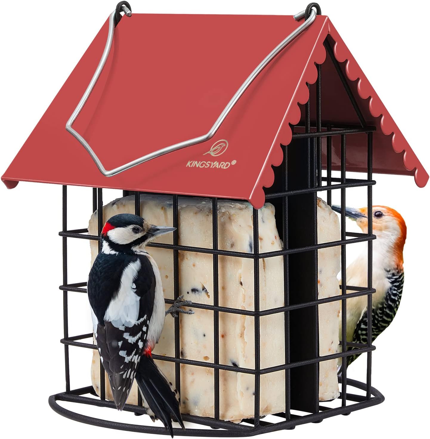 Comedero doble sebo pájaros metal resistente colgar