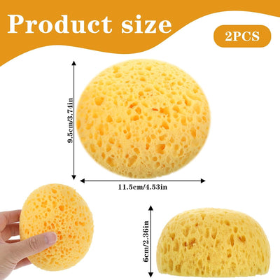 Esponjas redondas de arcilla para textura de pared y techo