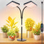 Luces cultivo mesa 2 cabezales 50w para plantas interiores