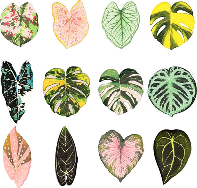 12 imanes hoja para nevera decoración cocina oficina