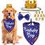 Bandana coronas doradas lazo azul XL perros