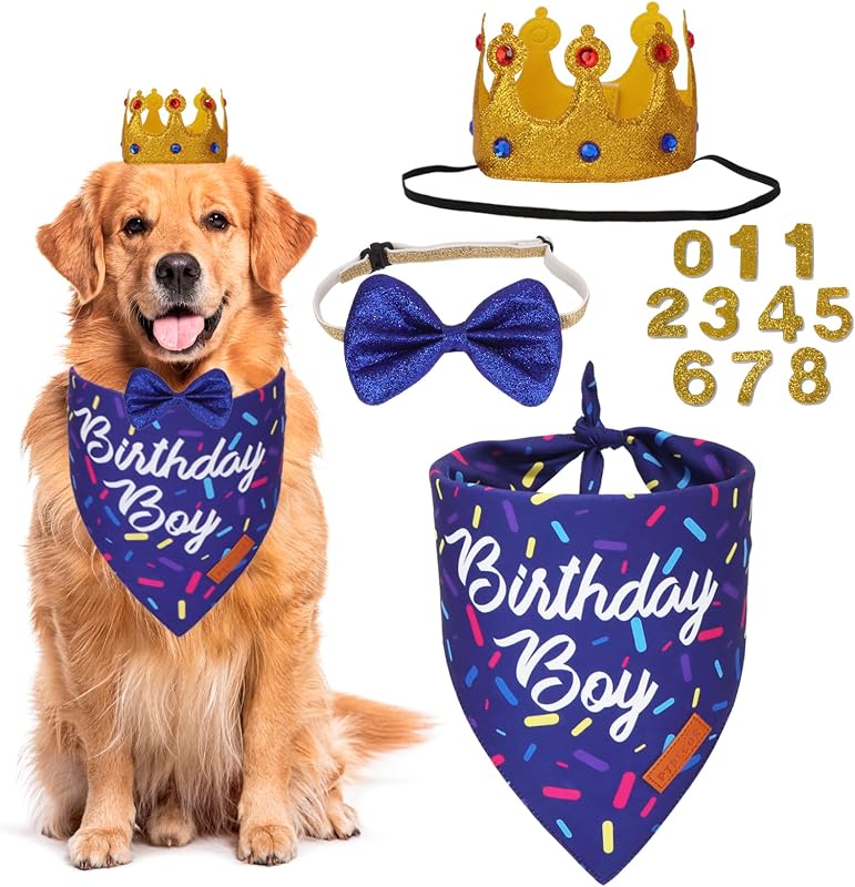 Bandana coronas doradas lazo azul XL perros