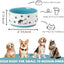 Cuenco cerámica perros 6pulg comida agua 30oz verde azulado