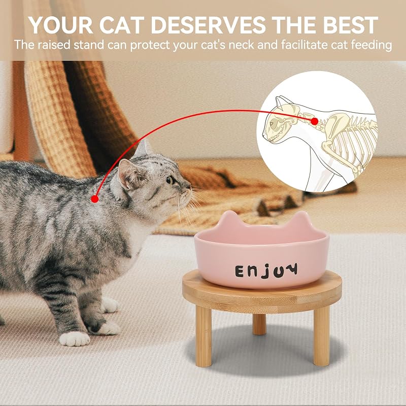 3 Cuencos Elevados para Gatos Cerámica Soporte Bambú Rosa