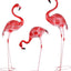 3 Pzas Estatuas Flamencos Metal Exteriores Decoración Jardín
