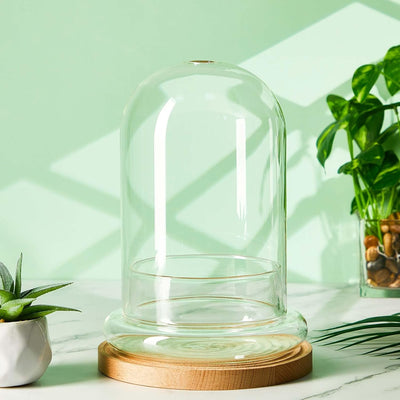 Maceta terrario vidrio 5.9x7.9pulg cúpula base plantas