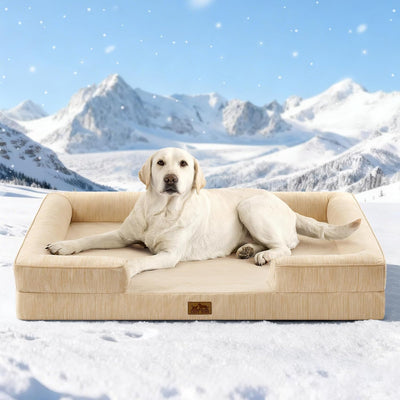 Cama perros XL espuma ortopédica antideslizante