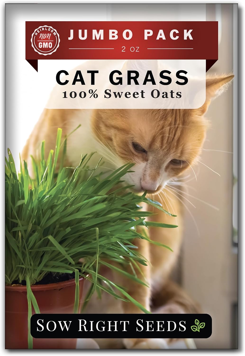 Semillas hierba gato a granel 2oz 1900 semillas paq jumbo
