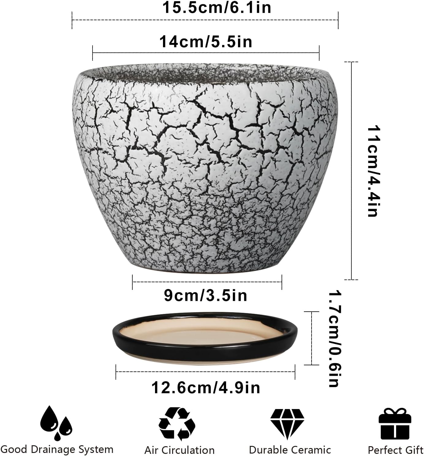 Maceta cerámica 6pulg platillo suculentas blanco negro