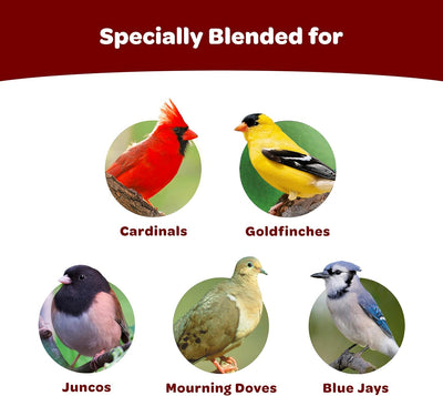 Alimento pájaros silvestres 1.85lb 4 Uds