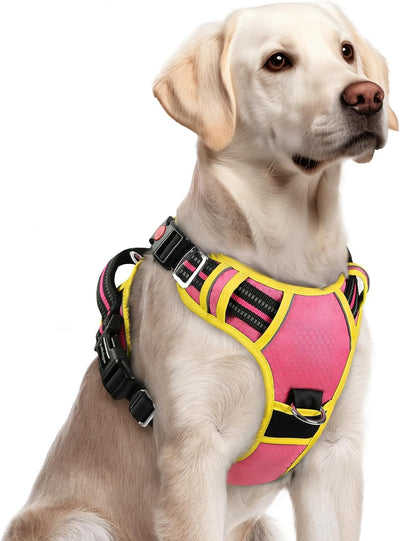 Arnés ajustable perros grandes hebillas asa control rosa