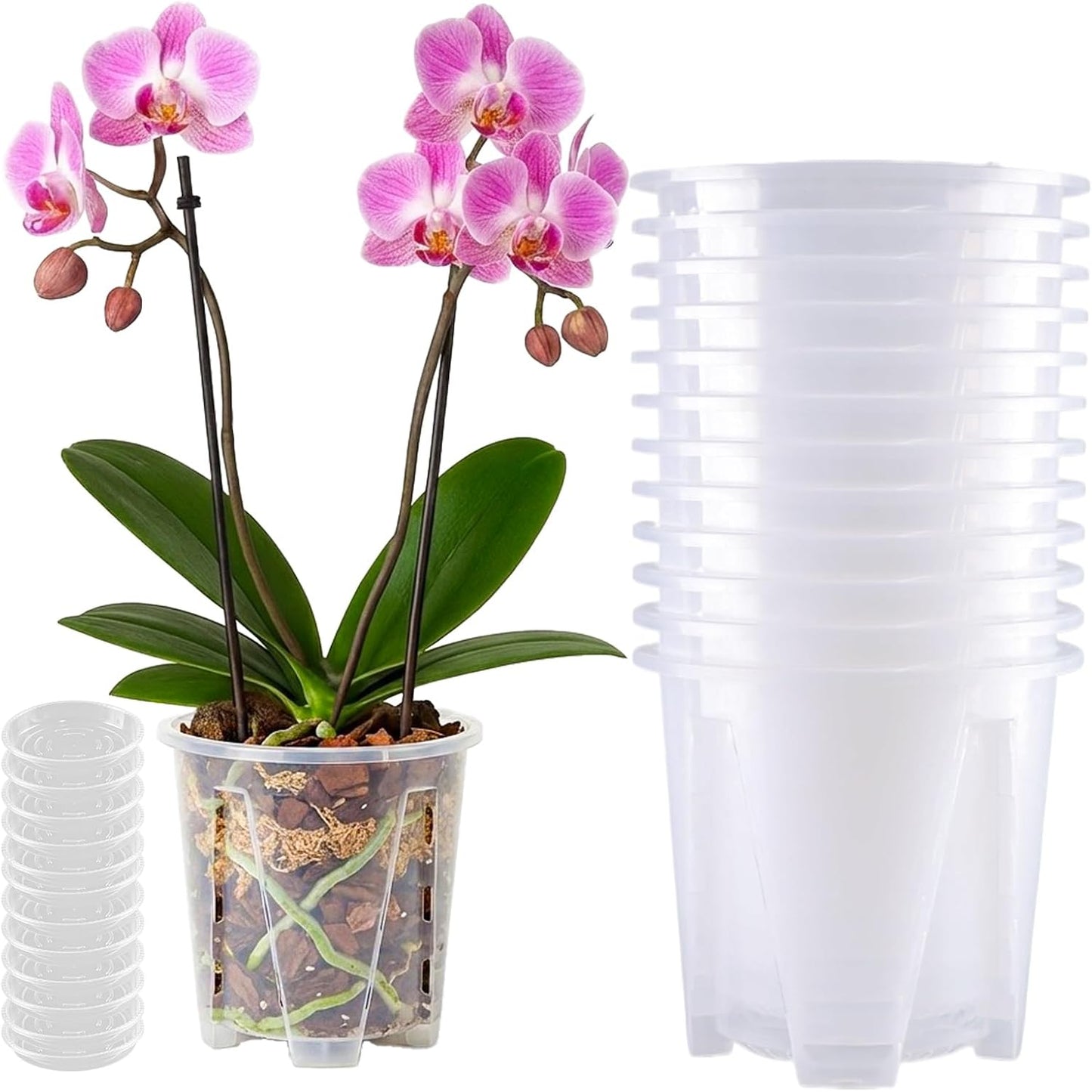 Set 12 Macetas Plástico Orquídeas 6.2pulg Drenaje