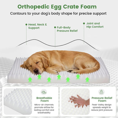 Cama ortopédica perros grandes 44x30pulg espuma 28D