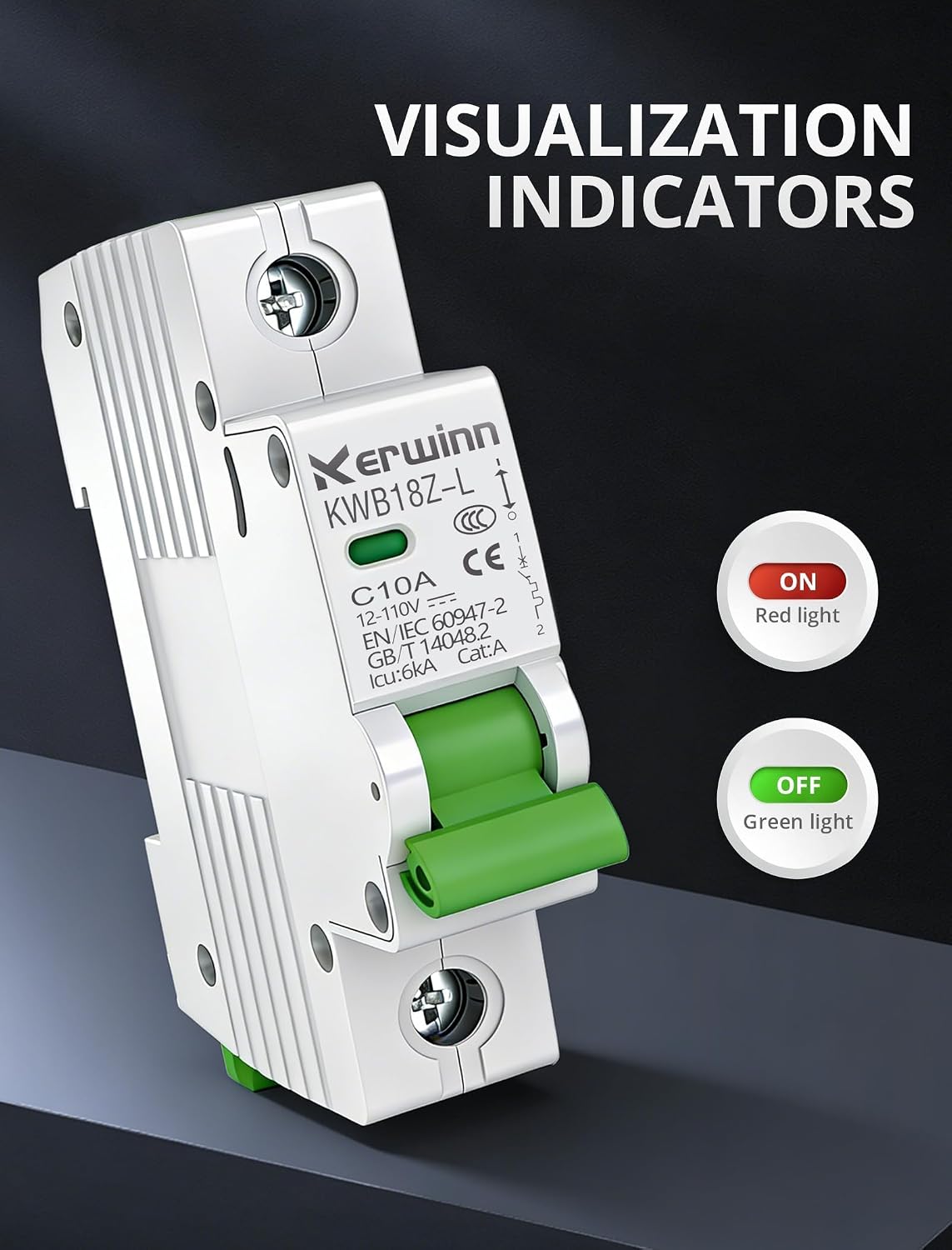 Interruptor circuito mini DC 12V-110V 6A carril DIN