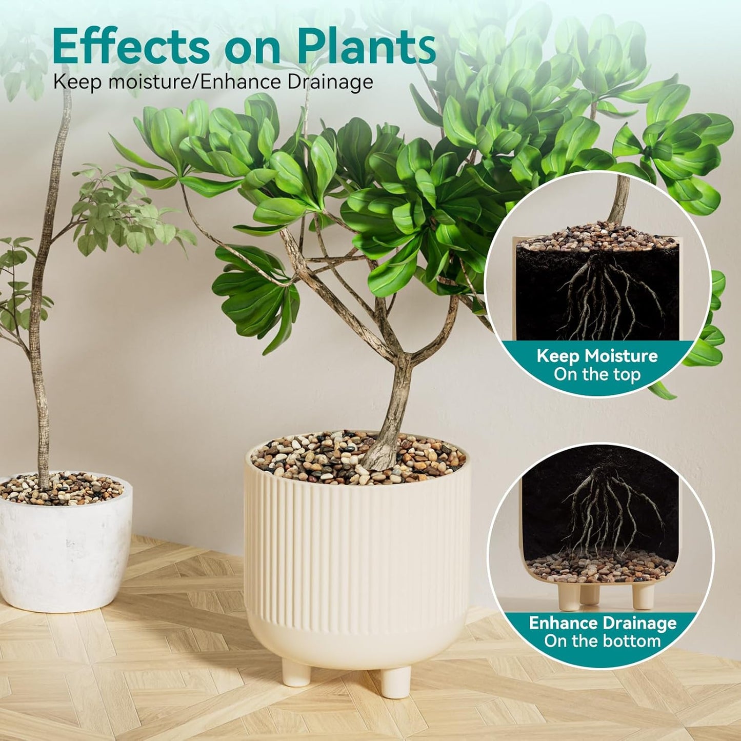 Guijarros 2.5lb para plantas interior 3/8" altamente pulida