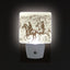 2 Luces Nocturnas Led Pared Sensor Amanecer Dormitorio