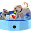 Piscina plegable perros grandes 40x12pulg acolchada azul