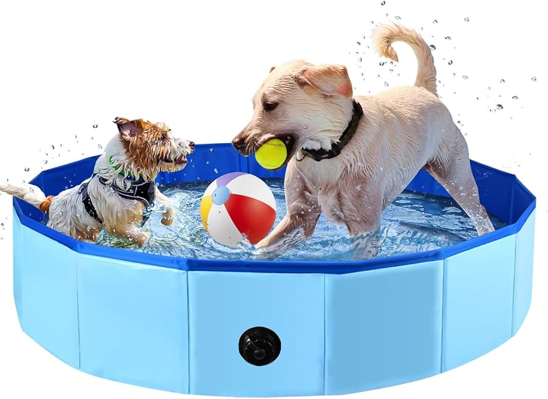 Piscina plegable perros grandes 40x12pulg acolchada azul