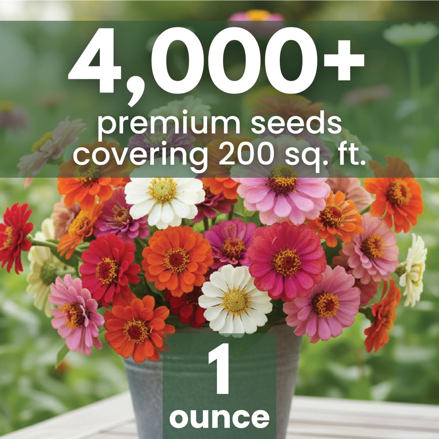 Semillas Zinnia 4000 bolsa 1oz