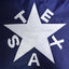 Bandera Texas 3x5ft nailon Oxford 210D estrellas
