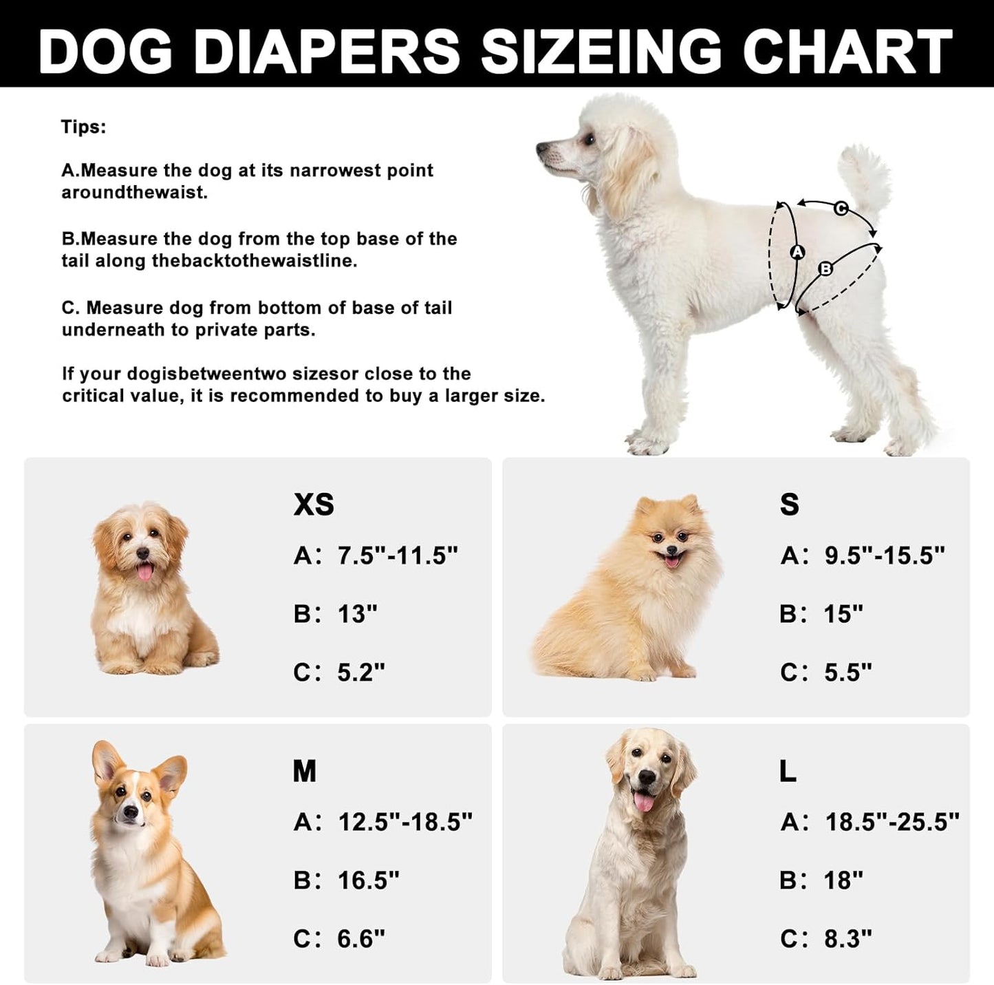 Pañales lavables perros talla S para incontinencia
