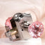 Pomo puerta vidrio rosa níquel forma rosa privacidad vintage