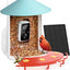 Comedero inteligente para colibríes con cámara 2en1