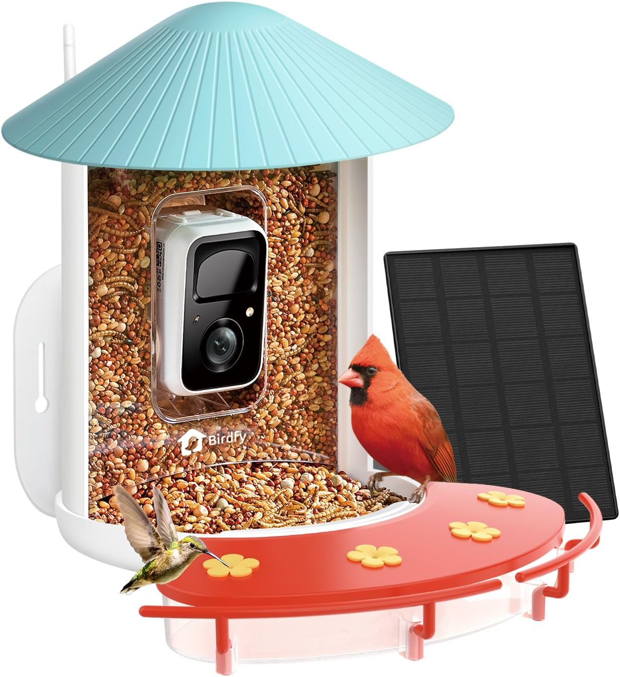 Comedero inteligente para colibríes con cámara 2en1