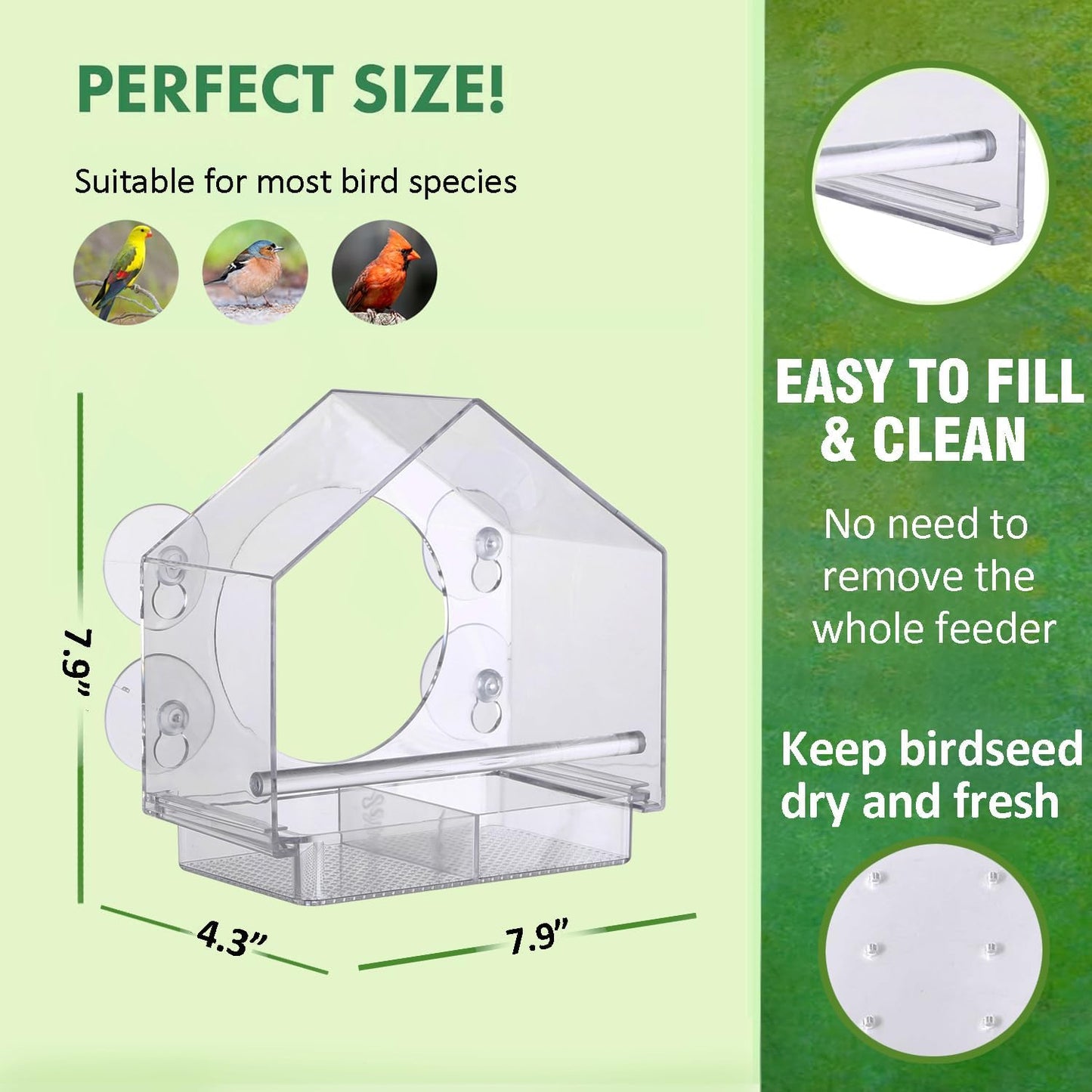 Comederos aves ventanas ventosas fuertes transparentes