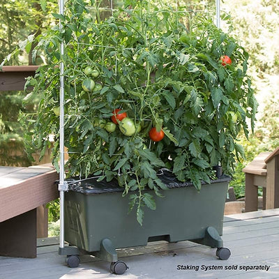 Kit jardín natural EarthBox para interiores y exteriores 2