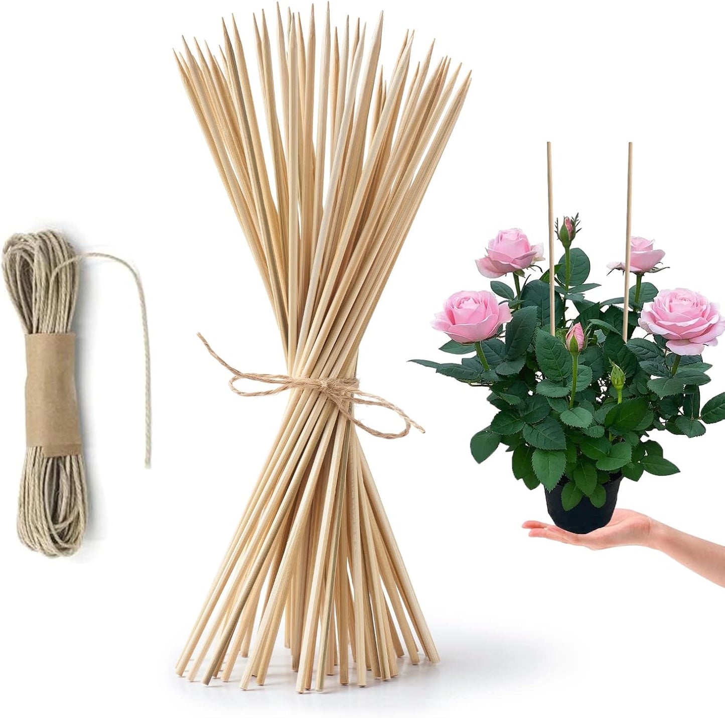 50 Estacas Bambú 8pulg Soporte Floral Jardinería Interior