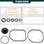 Kit reparación bomba inyección VW Jetta Golf Beetle 1.9L