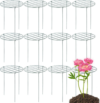 12 Jaulas Peonía 16x24pulg Soportes para Plantas