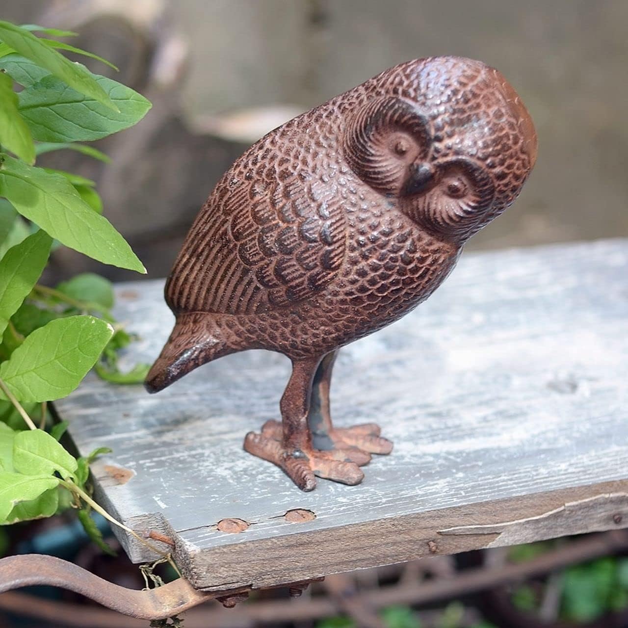 Estatua búho Saw Whet para jardín