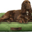 Cama perro con base foam 36x27 pulg verde resistente