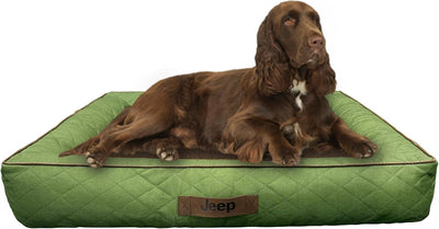 Cama perro con base foam 36x27 pulg verde resistente